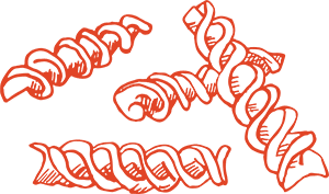 fusilli sketch
