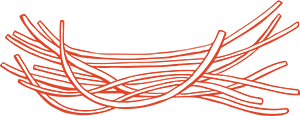 spaghetti sketch